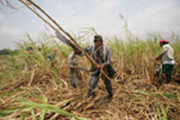 8182220042_2d046cab6d_o-1